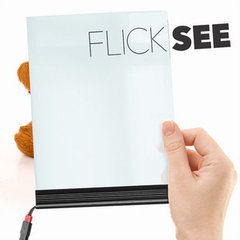 FlickSee SmartGlass