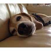 Mark Evans's photo