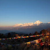 Lisa Marie's photo