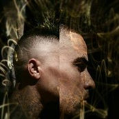 Anis Karmous's photo
