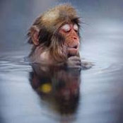 León Reyes's photo