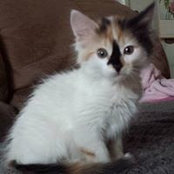 Foto de Linda Loo
