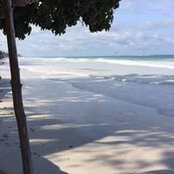 Marco Dippe's photo