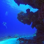 Kfir Kamelgard's photo