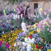 Sana Abu Sido's photo