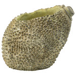 AB Home - AB Home Jackfruit Outdoor Planter With Light Green Finish D8987 - A favorite plant will look absolutely delicious in this small, light green jackfruit planter. The soft color works well highlighting the planter's delightfully spiky texture. The jackfruit sits at an angle, to create the widest opening possible for the chosen planting.