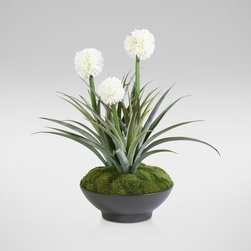 NOVI CONDO - Products