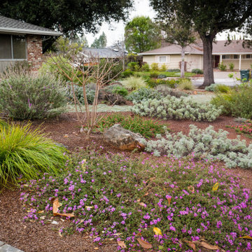 Lawn To Life