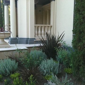 Pasadena Italian Craftsman