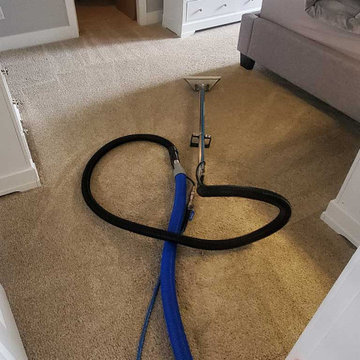 Pet Urine Removal From Carpet in a House Located in Maple Ridge BC Canada
