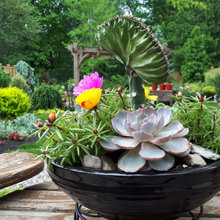 Planters