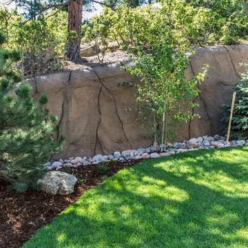 Castle Pines Village - Pines, Natural Scrub Oak and Aspen