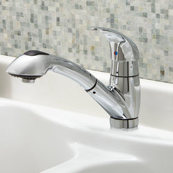 Danze Melrose Single Handle Pull-Out Kitchen Faucet - Kitchen Faucets