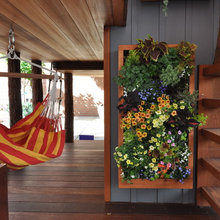 wall hanging plant