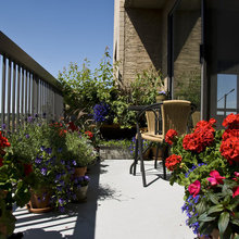 Garden Ideas