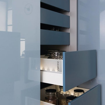 Intelligence et design