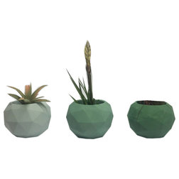 Industrial Indoor Pots And Planters by Intentional Grain