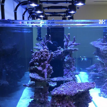 Custom Tank Lights