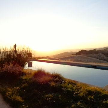 Water in the Garden