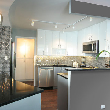 Sleek, Modern Kitchen Remodel in East Side Condo