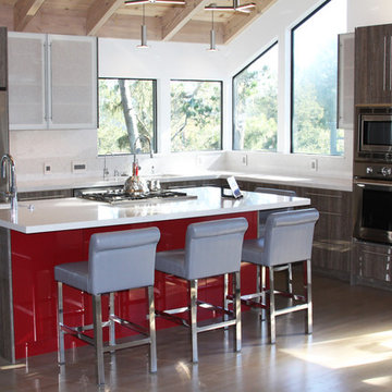Modern Kitchen Remodel by Green Goods