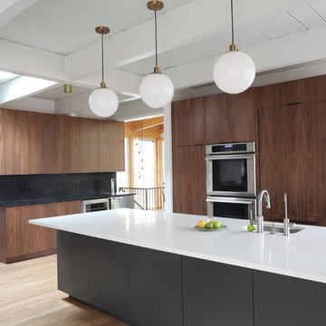 Mid Century Modern Remodel