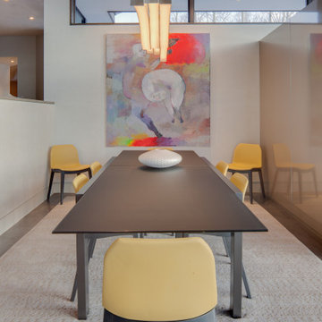 Starwood Modern Remodel Aspen
