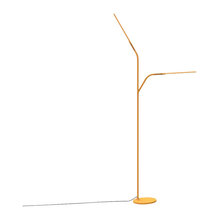 Lamps