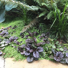 Shade landscape ideas