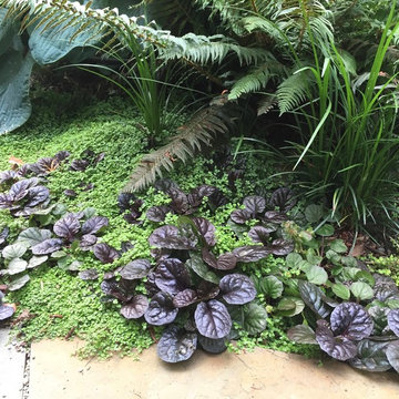 5 Senses In The Garden