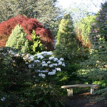 Landscape Benches