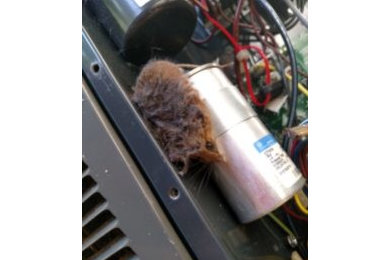 AC Unit Repair