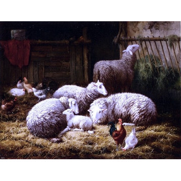 Theo Van Sluys Sheep- Roosters and Chickens in a Barn Wall Decal