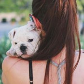 Sam Micatrotto's photo