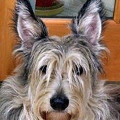 Judi Borysiewicz's photo