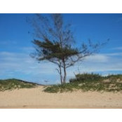 Santa Gonçalvess foto