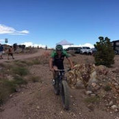 Thomas Elsaesser's photo