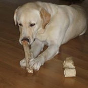 Chris Johnson's photo