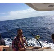 Teodor Nicolau's photo