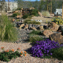 back garden