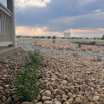 Xeriscape Transformation - Highlands Ranch, CO