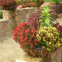 Landscaped Pots - Products