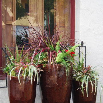 A Water Wise Landscape