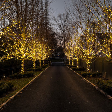 Holiday Decor - Residential Outdoor Lighting & Decorations