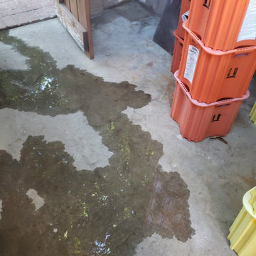 Backyard clean up and remodel