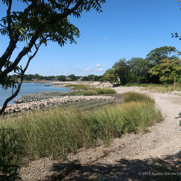Living Shoreline