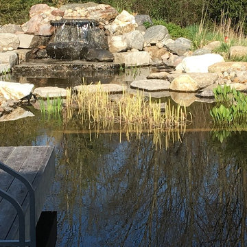 Swim Pond by the River - Caledon, Ontario
