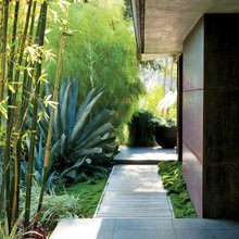 Exterior Ideas