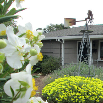 The Baker Family's California Native Garden