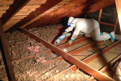 Insulation & Attic Cleaning
